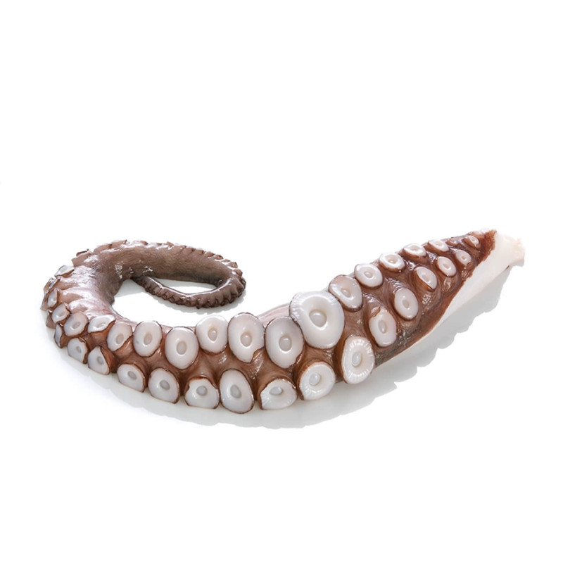 GILMAR - FROZEN OCTOPUS - RAW - TENTACLES T3 (2PCS/PKT) ± 0.475KG/PKT (TVR003)