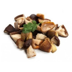 SABAROT - FROZEN MUSHROOM - 1KG X 5 - MIX FOREST "DELICE" (PF03598) (B:4507)