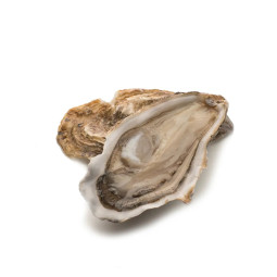 CADORET - OYSTER (L) - FINE DE CLAIRE (N2) - 96 PCS (B:7019)