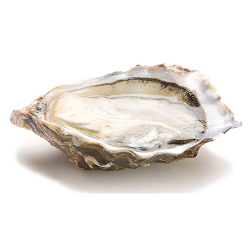 CADORET - OYSTER (L) - PERLES NOIRES (N 1) - 24 PCS (B:5510)