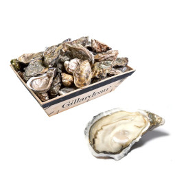 CADORET - OYSTER (L) - GILLARDEAU (N 1) - 48 PCS