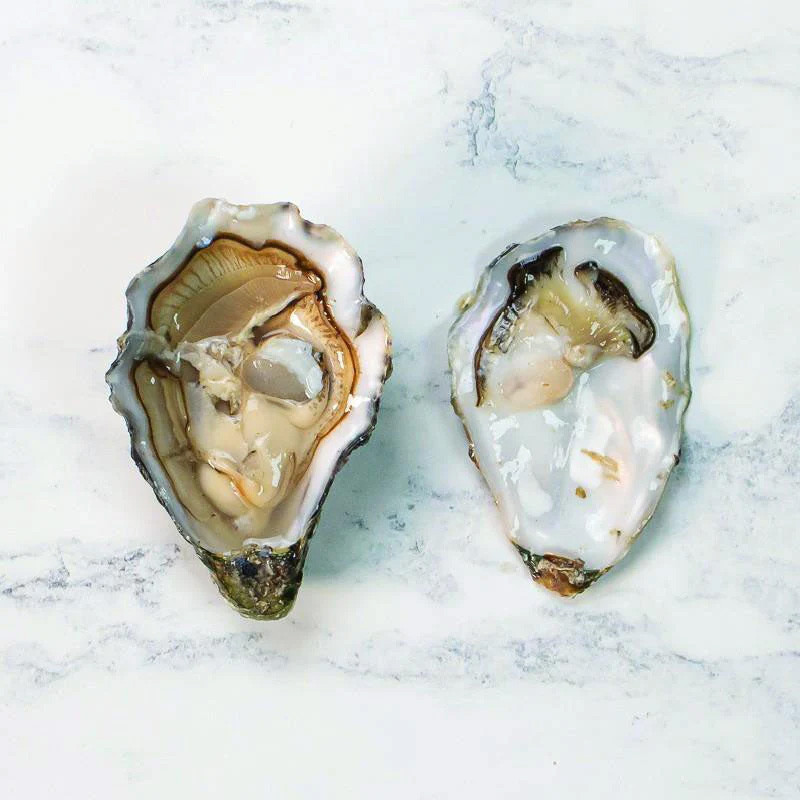 CADORET - OYSTER (L) - GILLARDEAU (N 4) - 48 PCS