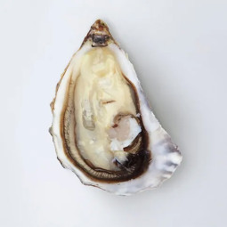 CADORET - OYSTER (L) - SPECIALES DE CLAIRE MARENNE D'OLERON (N 2) - 48 PCS
