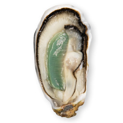 CADORET - OYSTER (L) - SPECIALES ANCELIN (N 2) - 12 PCS