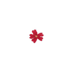 PCB - SPRINKLES - DRIED EDIBLE FLOWER - 50 RED VERVAIN (50294) (B:2944)