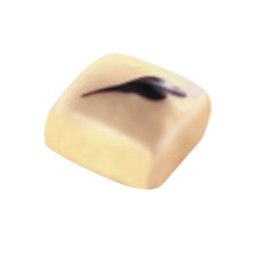 Praliné Ivoire Intense