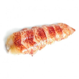 CINQ LOBSTER CANADIAN (F) TAIL (RAW) 60G -70g X 25