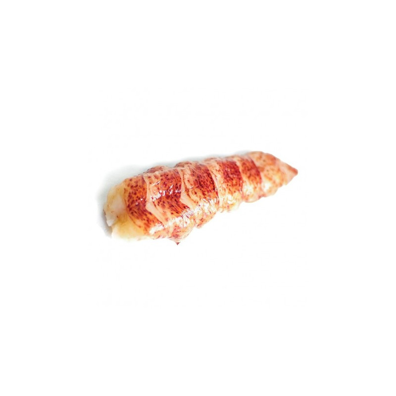 CINQ LOBSTER CANADIAN (F) TAIL (RAW) 60G -70g X 25