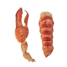 CINQ LOBSTER CANADIAN (F) TAIL & CLAW (RAW) (120-150G) X 25