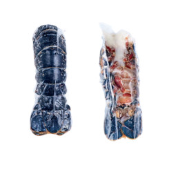 CINQ LOBSTER BLUE EUROPEAN (F) HALF TAIL SHELL ON (100G 140g X 16) (2 HALF TAILS 50-65G)