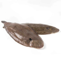 CFR - MONKFISH CHEEKS FR2 P ANE 3KG CASE (MOK014)