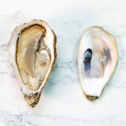 CFR - OYSTER (L) - GEAY FDC MARENNES OLERON N2 - 12 PCS (OYS097) (16330)